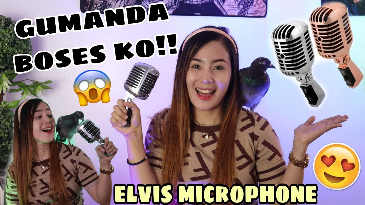 Professional Classic Elvis Microphone BSX-58S Review and Testing | Candypop