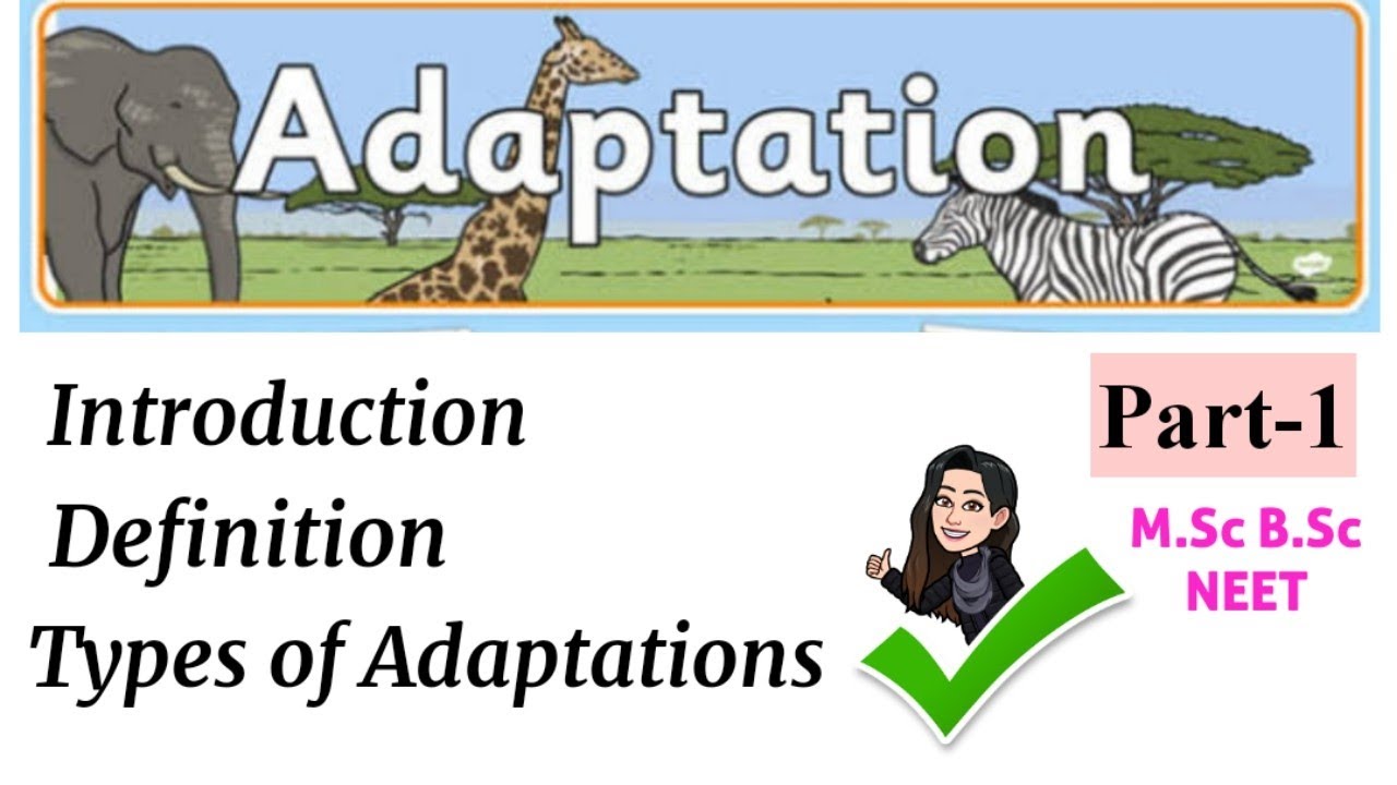 Adaptations-Introduction,Define,Adaptations types ,levels of adaptations significance of body size.