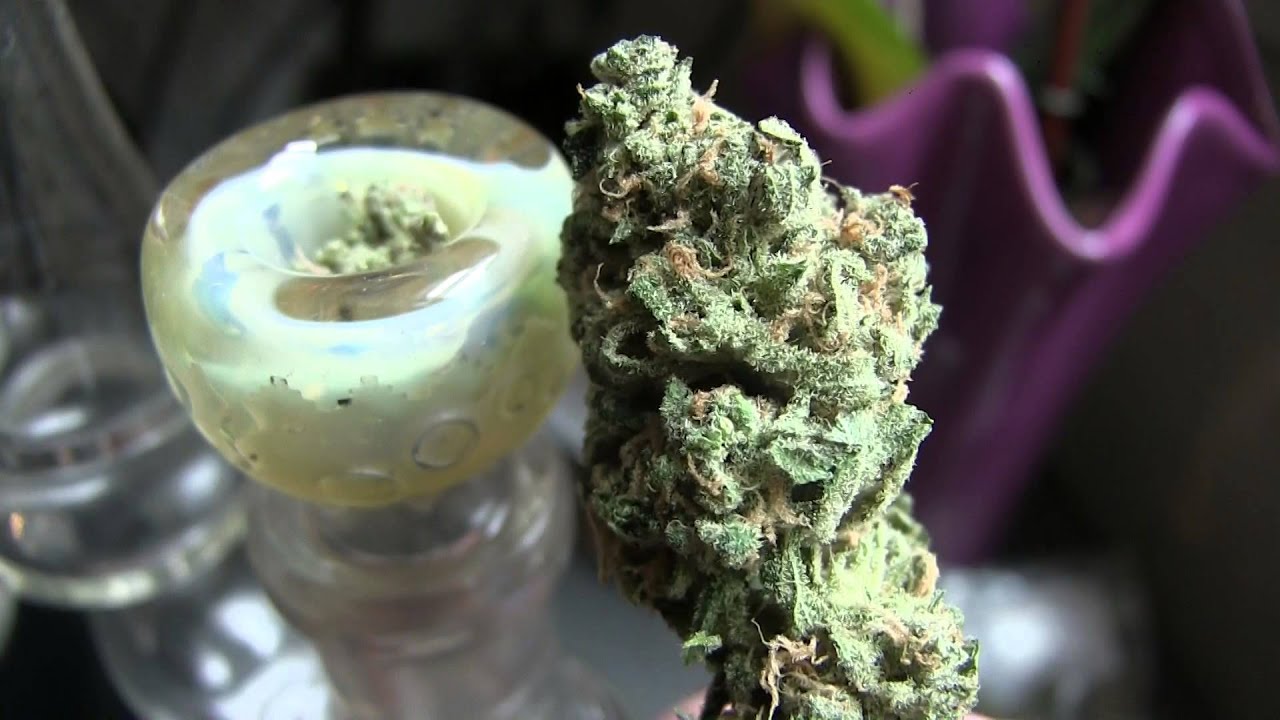tokin daily: shopping day at Denver Relief