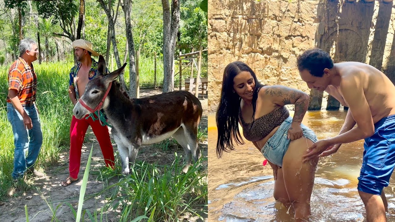 SEU BIU FOI PROCURAR A JUMENTA E PEGOU ZÉ GATÃO COM MARISOL NO RIO