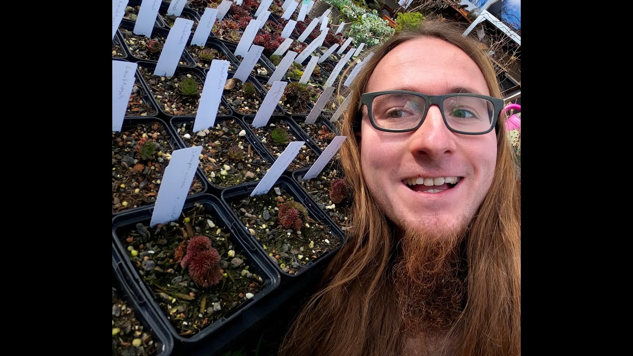 Mein Gärtner macht einen Gartenrundgang im Februar