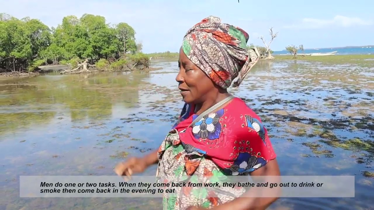 The Blue Empowerment Project: Seaweed Farming in Kibuyuni, Kenya