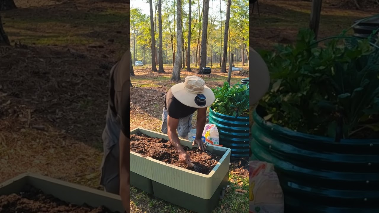 Putting My Vego EZ Cube Planter Together #vego #vegogarden #trending #youtubeshorts #viralshort