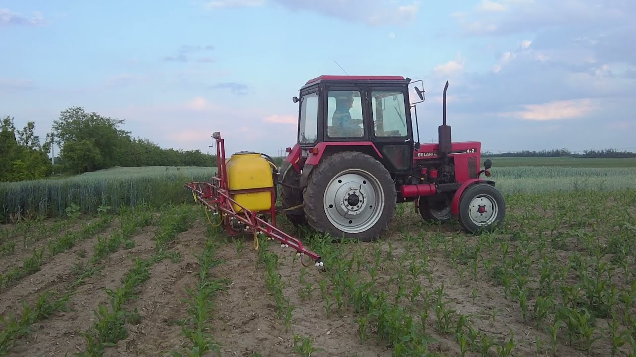 MTZ 80 | Kukorica Vegyszerezés | Belarus 80
