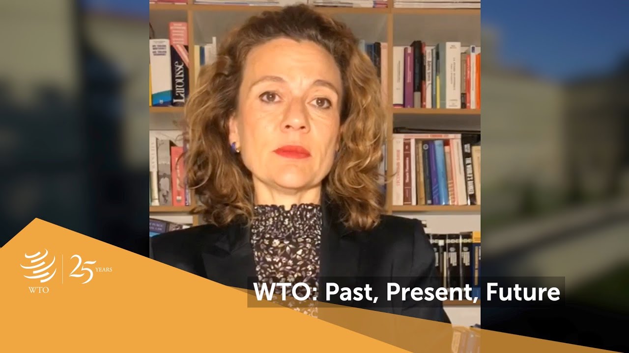 WTO at 25: International Institute for Sustainable Development (IISD)