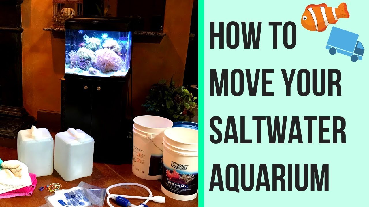 HOW TO: MOVING & SETTING UP SALTWATER REEF AQUARIUM