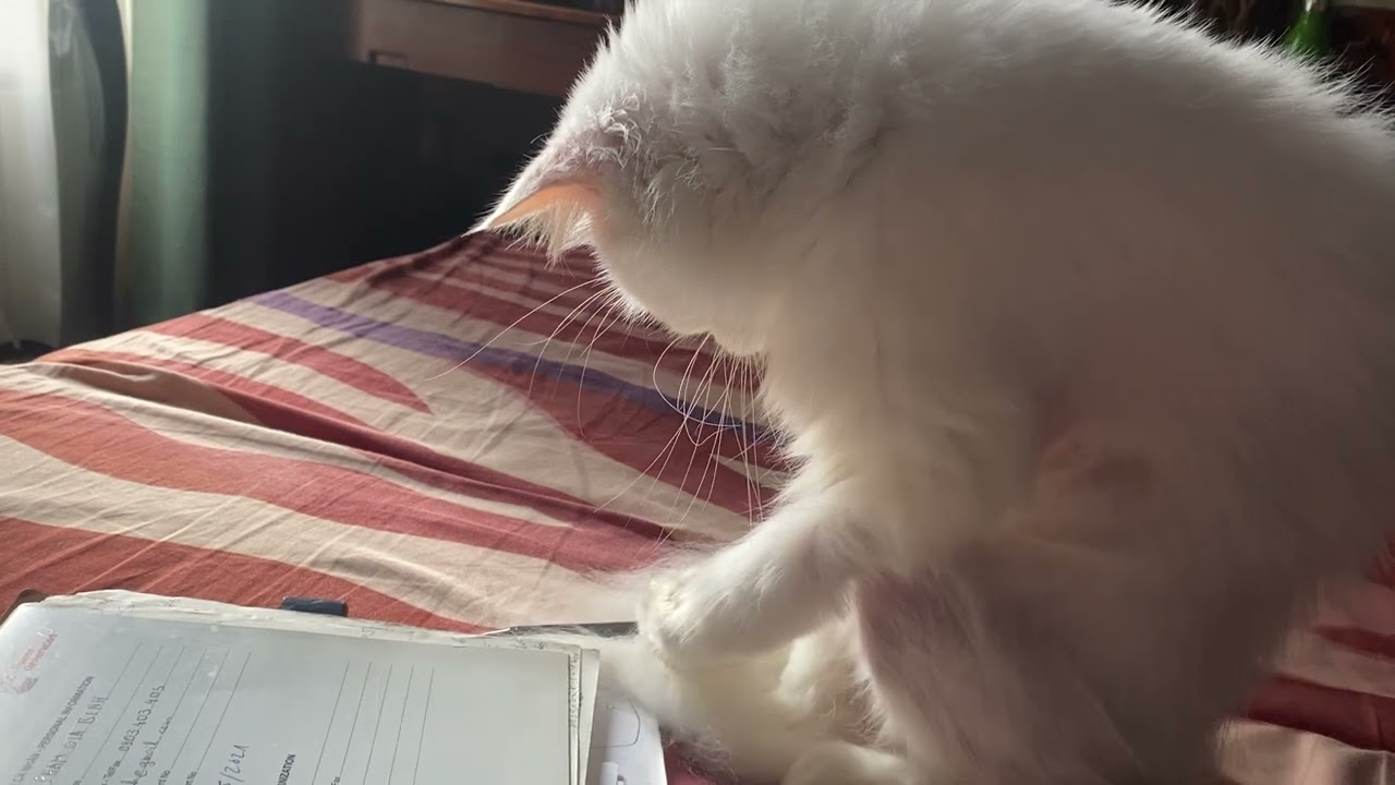 Cầm bút khó phết