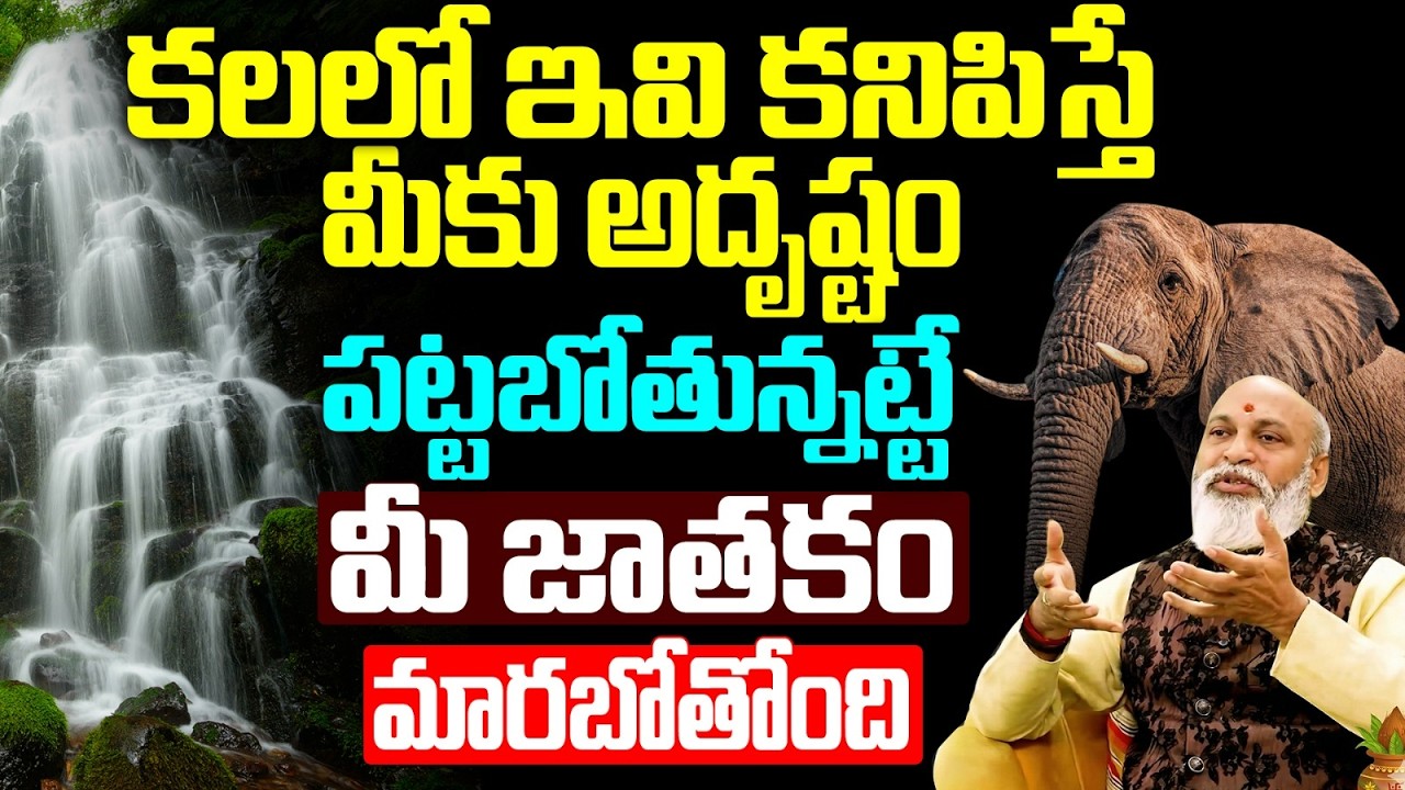 కలలో ఇవి కనిపిస్తే మీకు అదృష్టం పట్టబోతున్నట్టే | Lucky Dreams Meaning Telugu