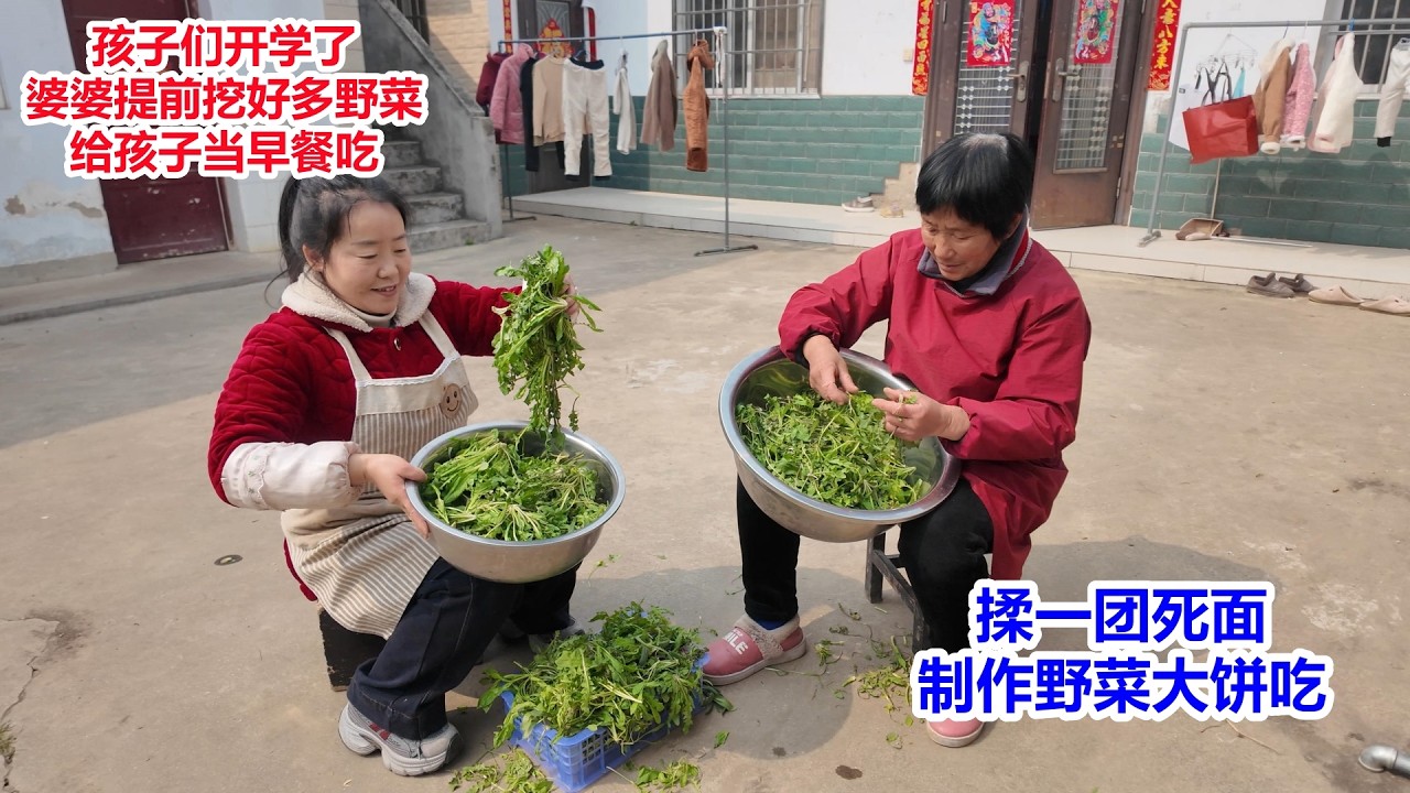 孩子们开学了，婆婆提前挖好多野菜，揉一团死面，制作野菜大饼馍，给孩子当早餐吃