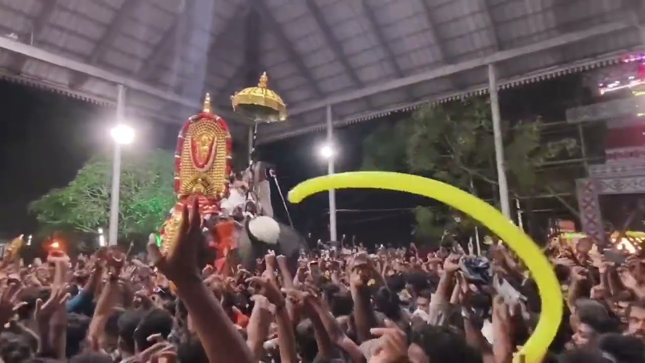 ❤️Utralikavu pooram 2k✌️6 😍 #temple #thrissur #pooram #follow 