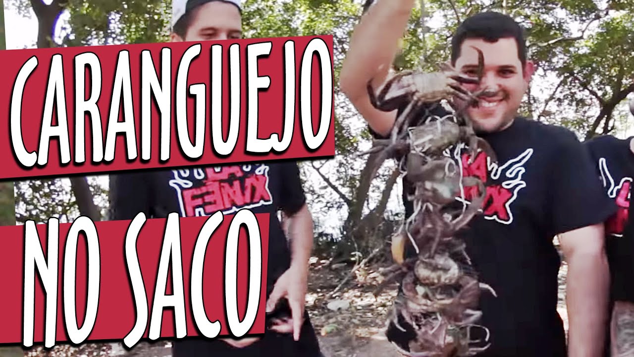 Caranguejo nas Cal&ccedil;as | Carta Maldita