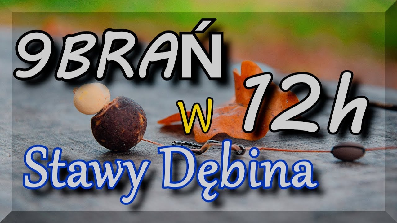 9 BRAŃ  w 12 h  - Stawy Dębina