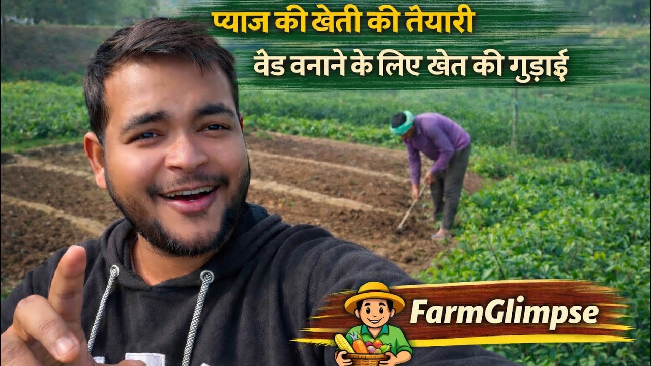 खेत में प्याज का बेड़न लगाने के लिए गुड़ाई | प्याज की खेती की पूरी तैयारी | किसान | FarmGlimpse 