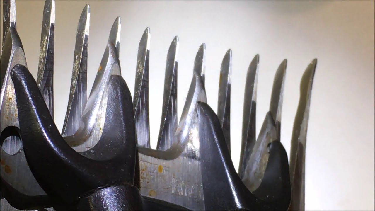 Sheep Shearing Equipment When is a shearers comb or cutter sharp?