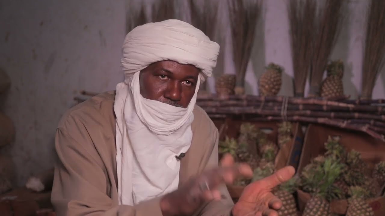 هكذا تدخل فاكهة الأناناس الى 
