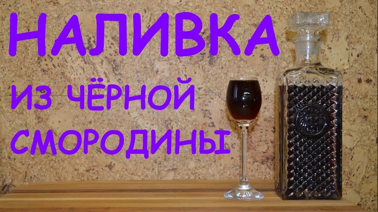 Наливка из чёрной смородины. Наливка на черной смородине. Пошаговый рецепт.