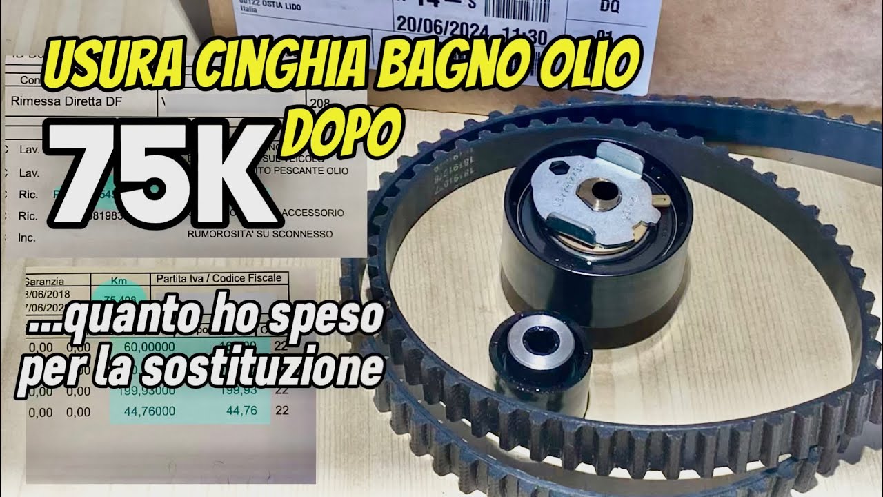 Cinghia bagno olio Puretech a 75k