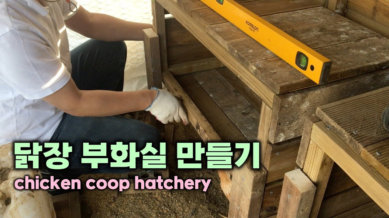 닭장 부화실 만들기 chicken coop hatchery