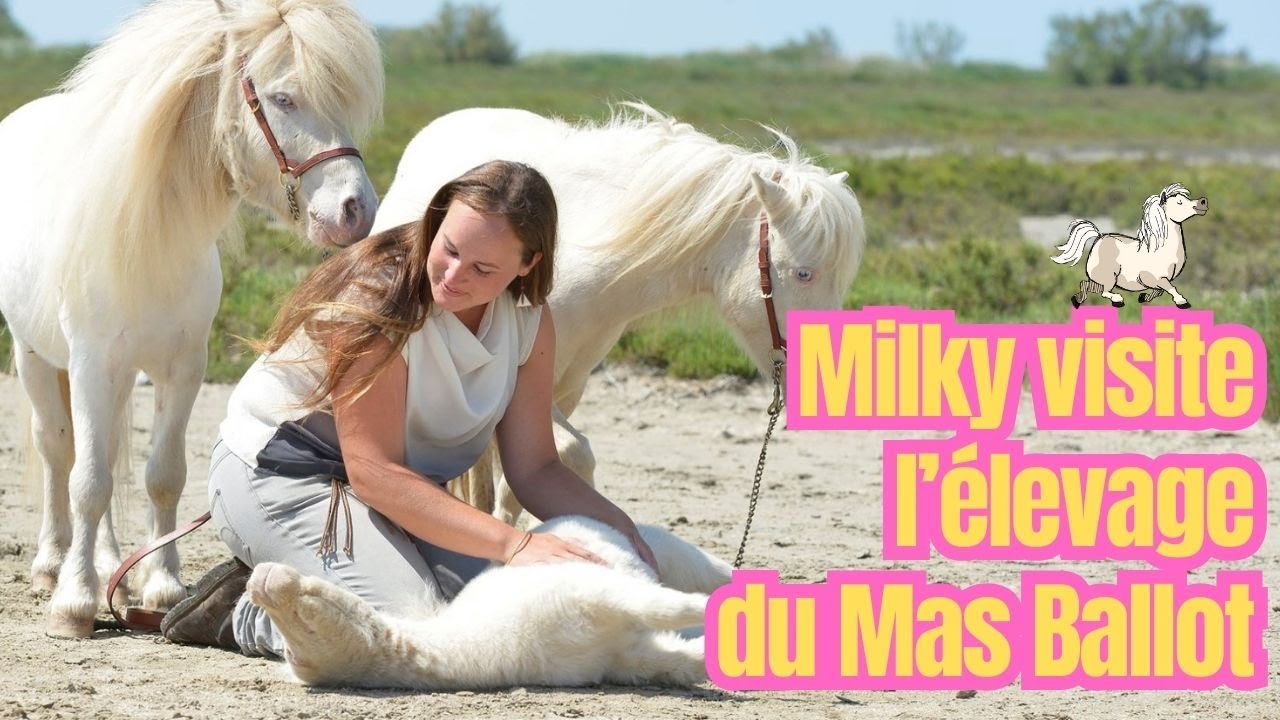 Milky présente son lieu de naissance, l'Élevage du Mas Ballot