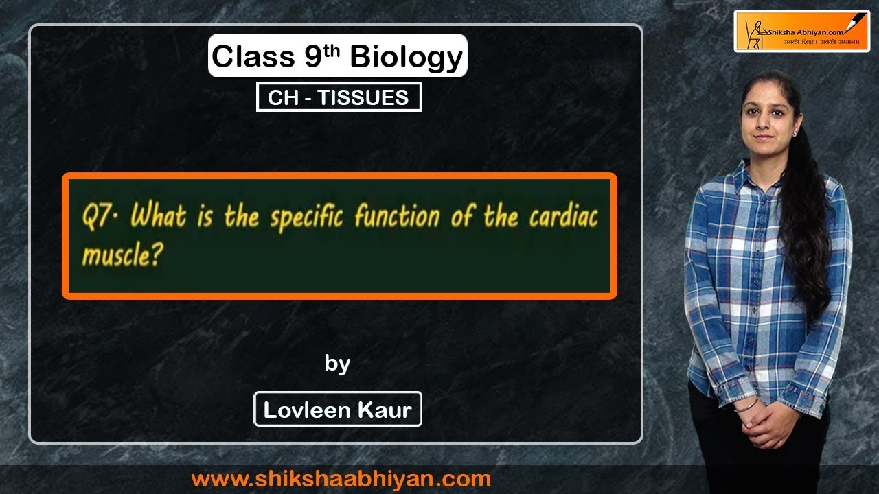 Q7 What is the specific function of the cardiac muscle?