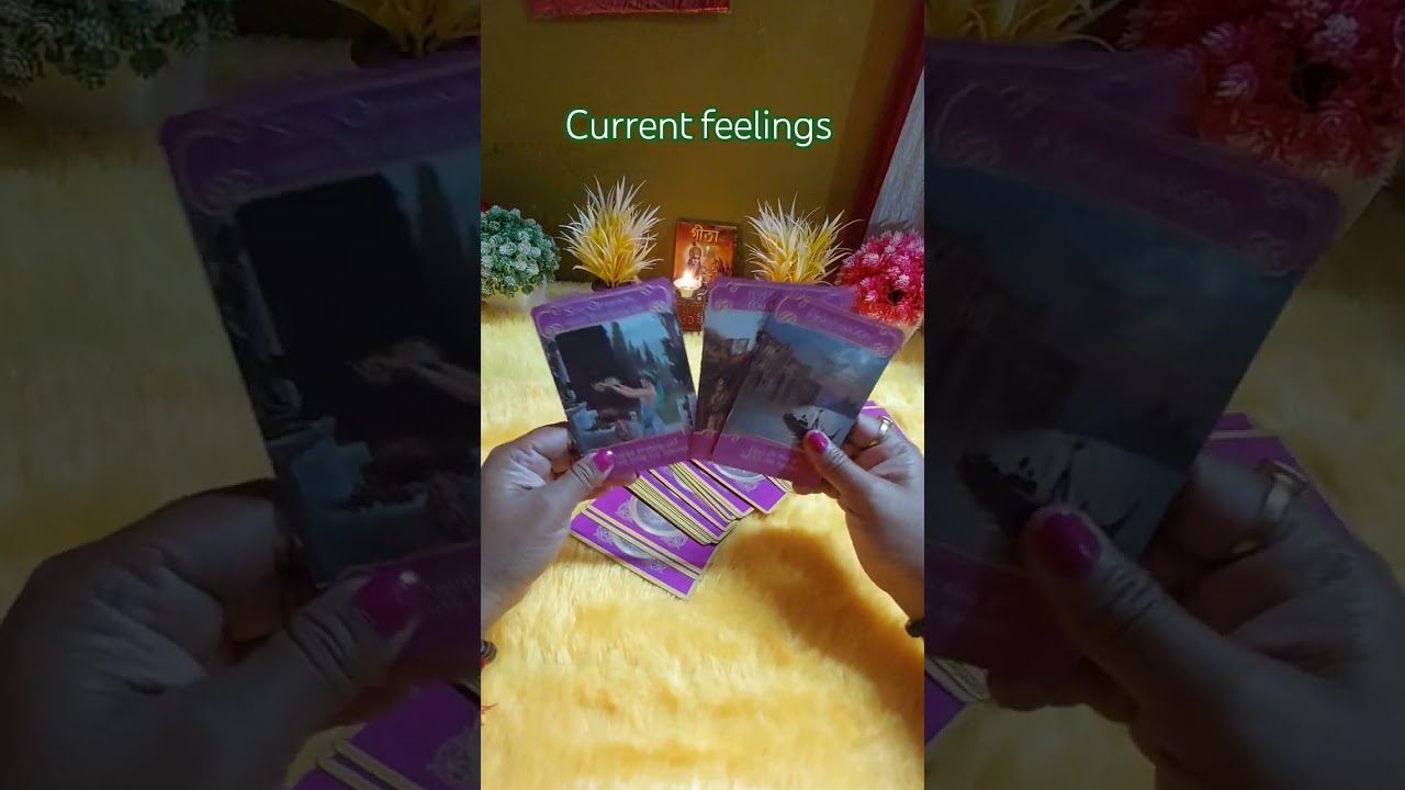 Current feelings 💖 Bengali Tarot Reading