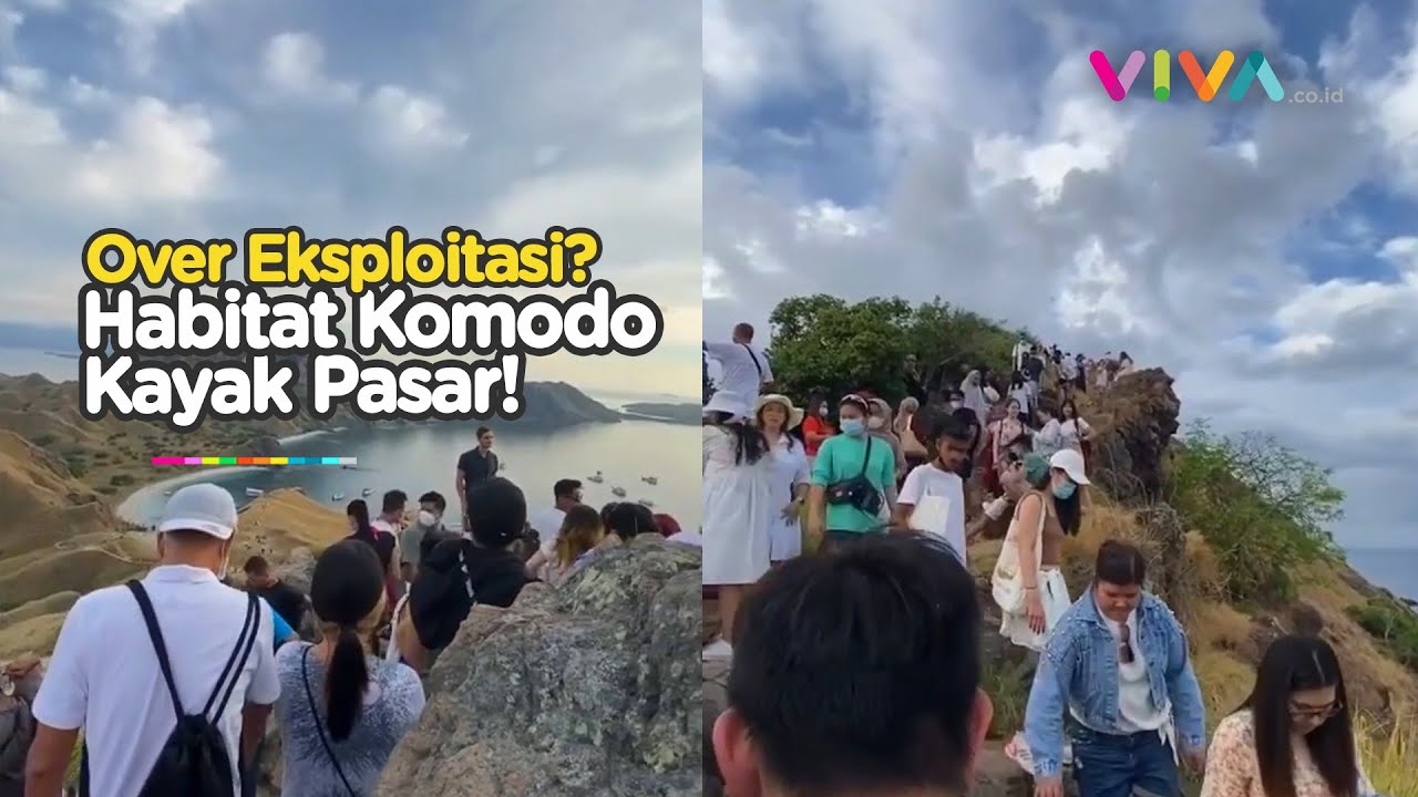 Efek Eksploitasi Turis, Habitat Komodo di Pulau Padar Jadi Kayak Pasar