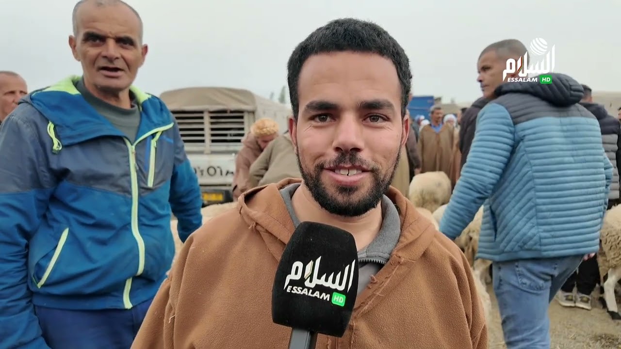 أسعار المواشي في سوق المعامرية وادي سلي صبيحة اليوم