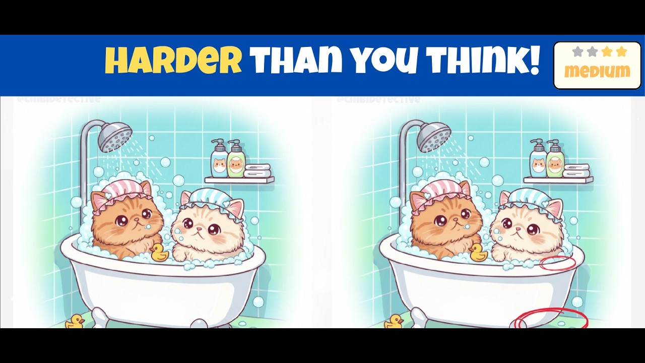 Spot 3 Differences  Brain Exercises  0051