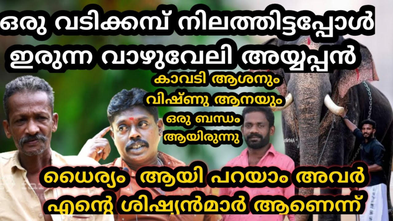 ഒരു വടിക്കമ്പ് നിലത്തിട്ടപ്പോൾ ഇരുന്ന വാഴ് വേലി അയ്യപ്പൻ vadanapalli suni new video | kadavalloor