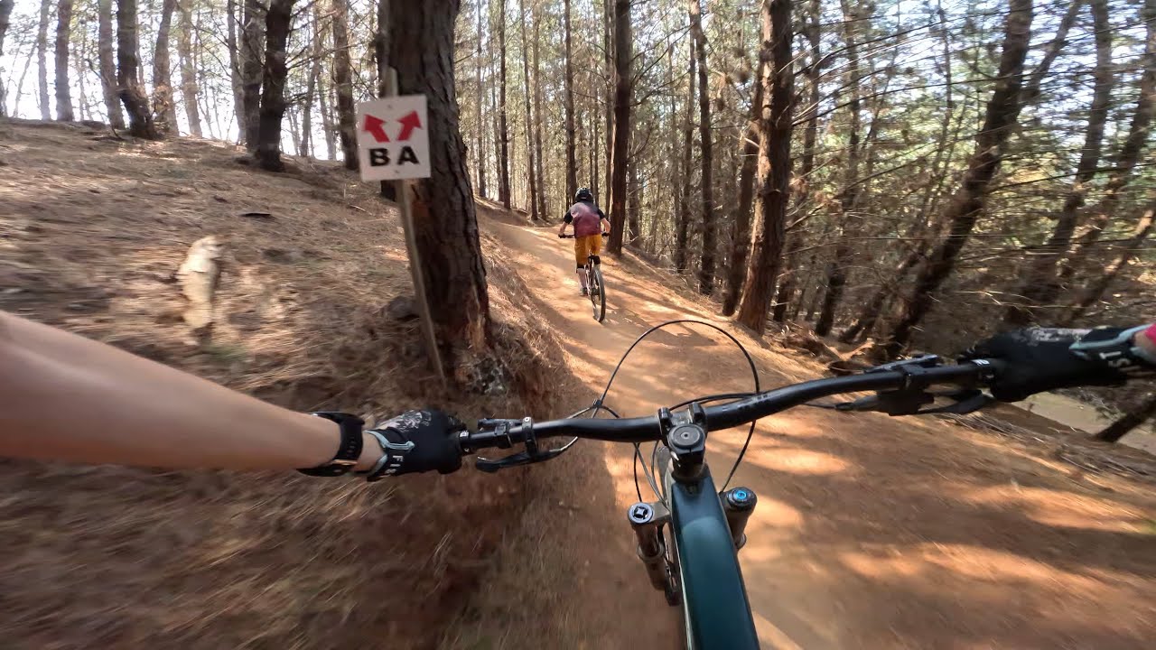 Flowmingo MTB trail, Bright, Vic
