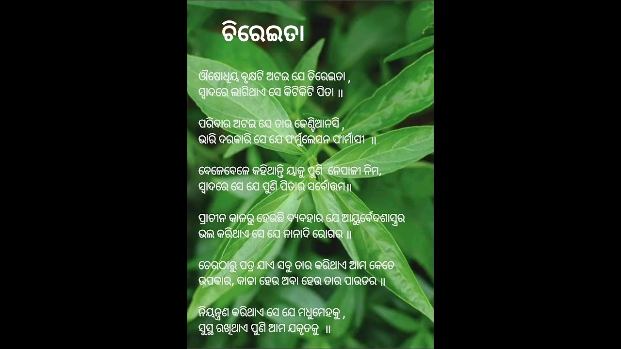chiraita#benefits of chiraita#uses of chiraita##🌿🌿