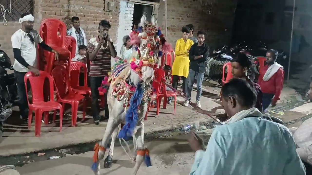 Viral dance####MP