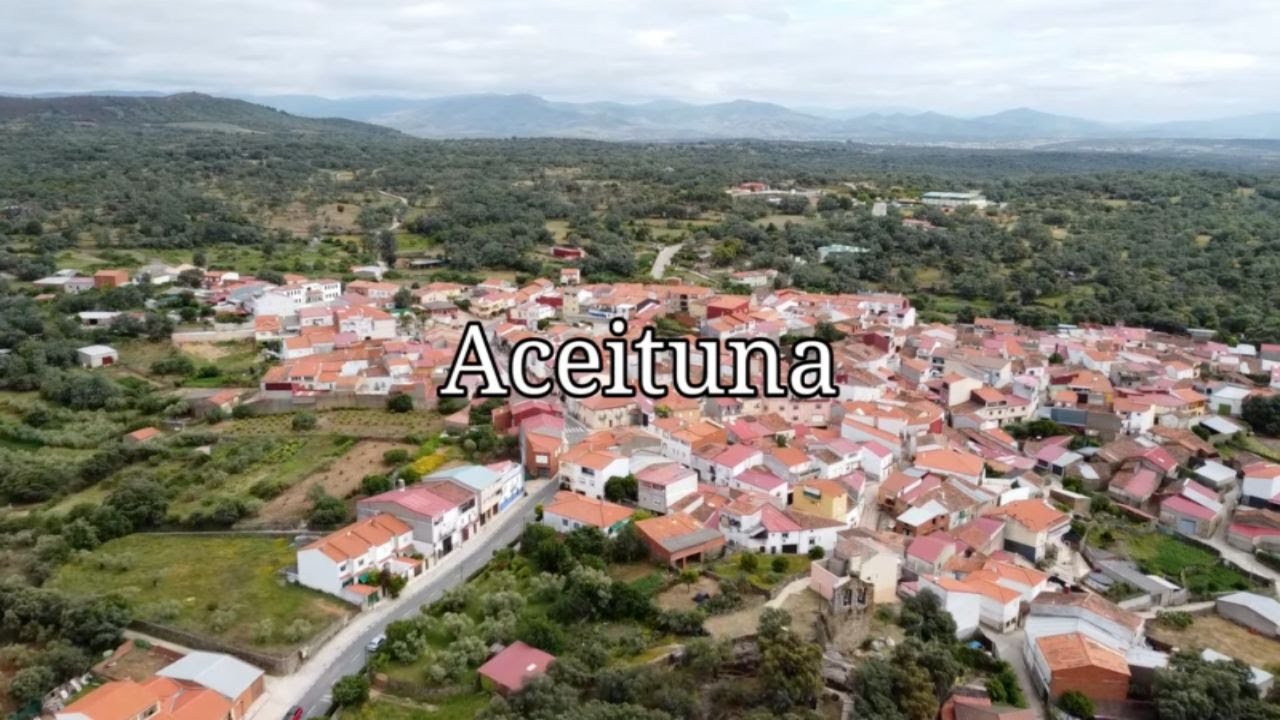 Aceituna