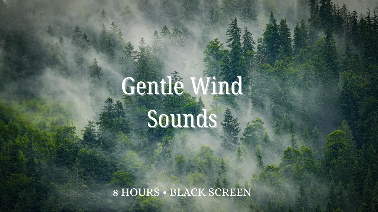 Soft Wind Through Trees 🌬️ 8 Hours | Black Screen for Deep Sleep & Focus