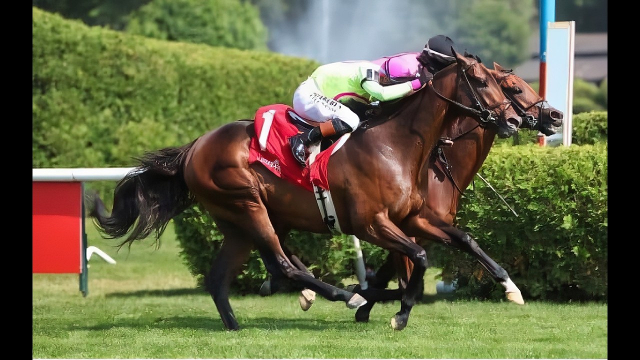 Kelso Stakes 2026 (G3) &mdash; Mi Bago и Zulu Kingdom в захватывающем фотофинише на ипподроме Саратога ...