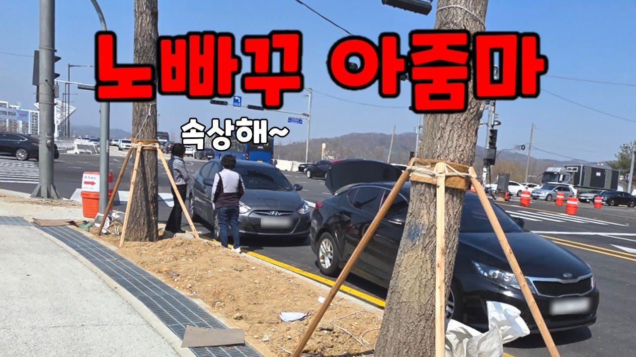 노빠꾸 김여사.......도참시 블랙박스 : 2026 최신블박영상