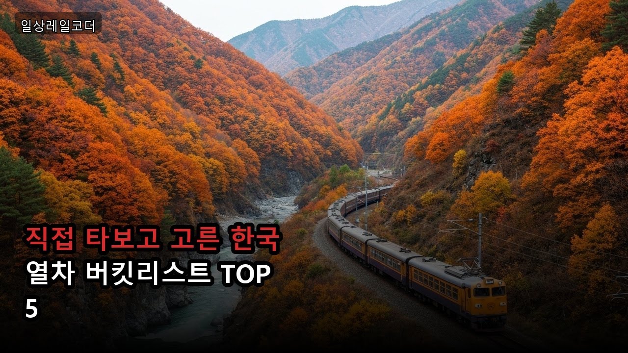 직접 타보고 고른 한국 열차 버킷리스트 TOP 5