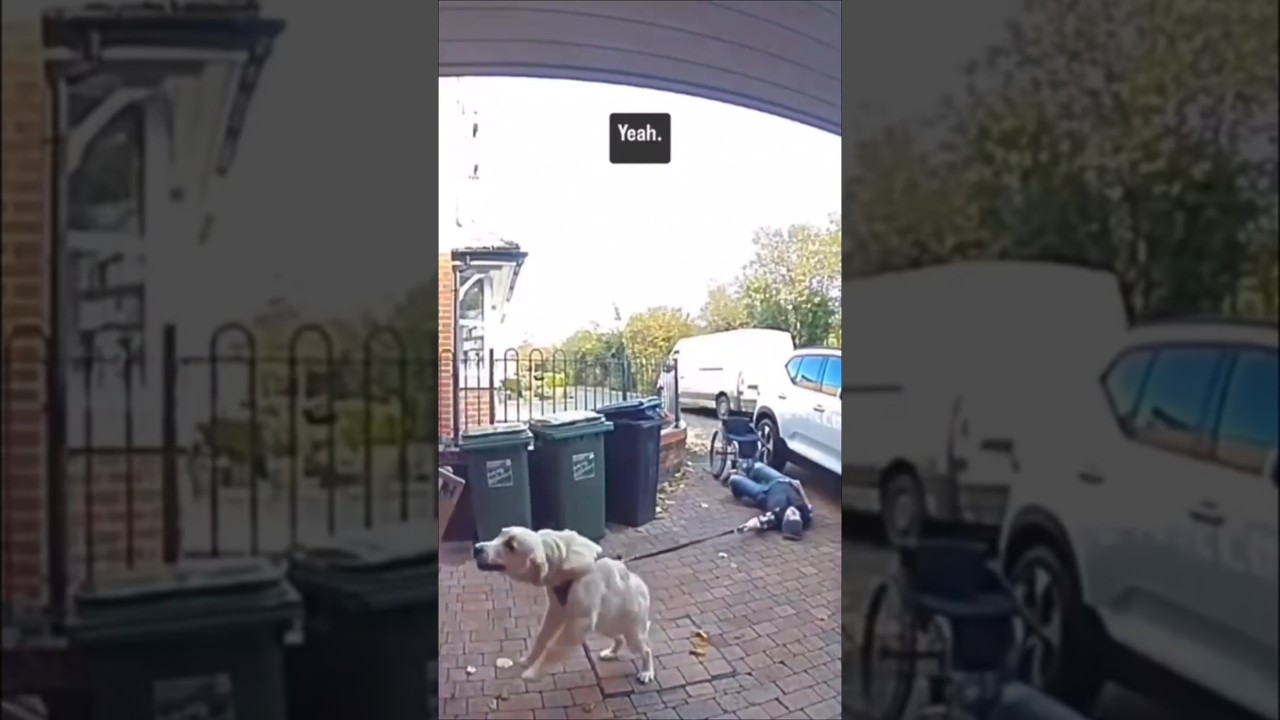 Security cameras fail 🎥 #shorts