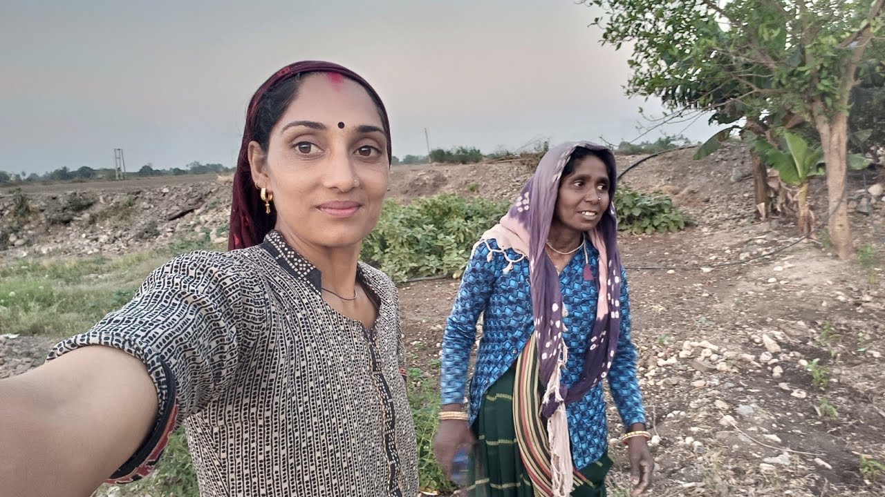 મારે અને દાદીને બકાલુ વાવવાનું કામ.