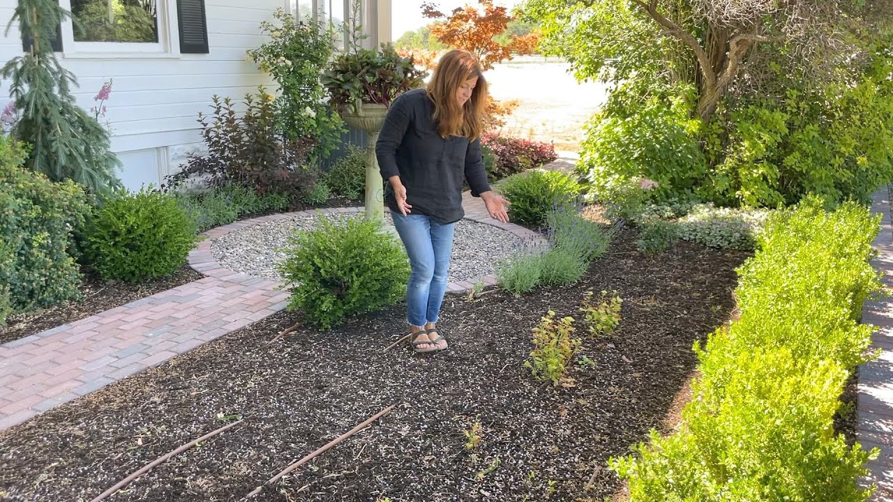 Mistakes were Made! Starting Over with a Hedge of Hydrangeas! 🌿// Garden Answer