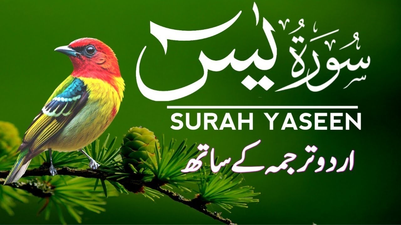 Surah Yaseen With Urdu Translation By Qari Mansoor Ghaznawi, Quran With Urdu & Hindi Tarjuma | Ep116
