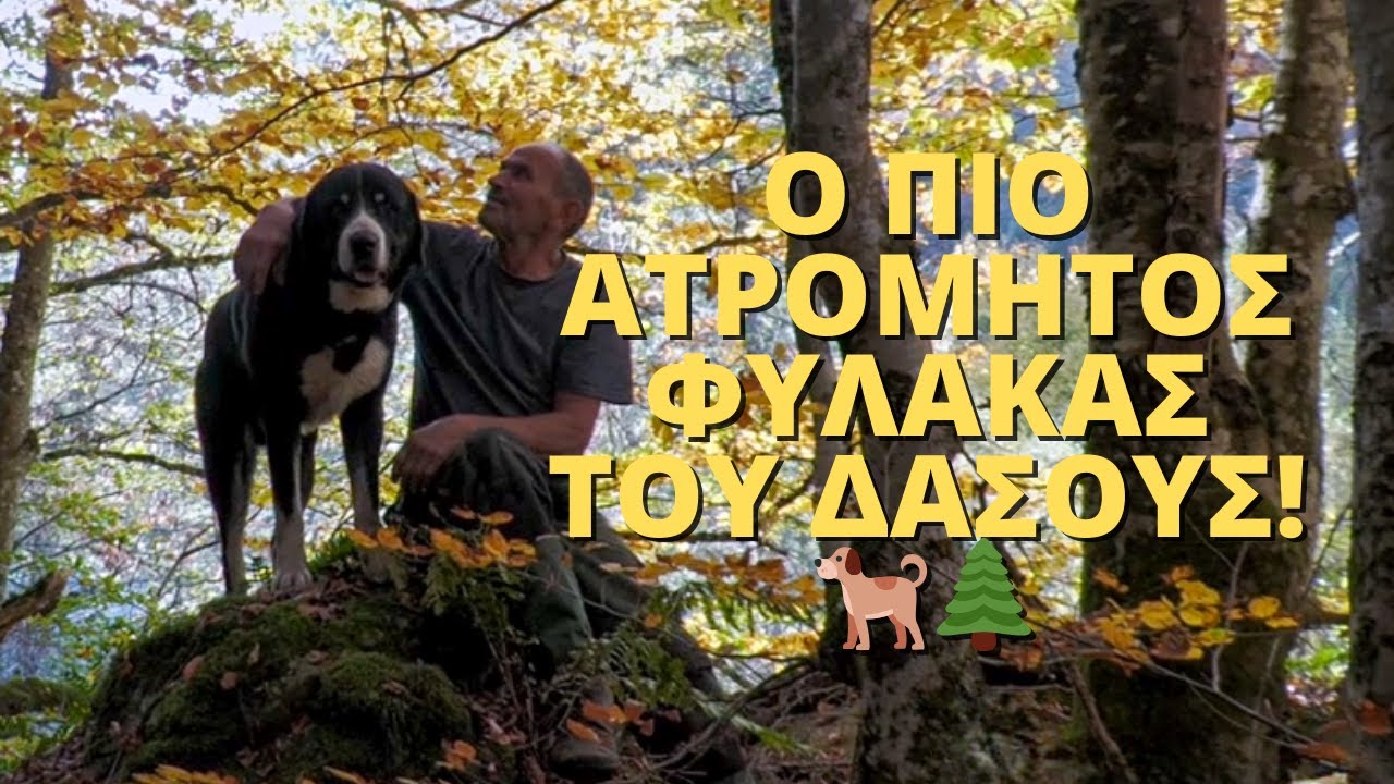 Μπορείς να Ζήσεις Εδώ; 🤯 ΦΤΕΡΗ – Το Χωριό Χωρίς Ηλεκτρικό! (Μέρος 2)