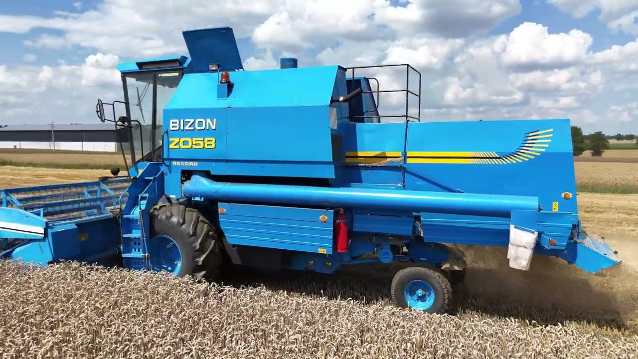 Żniwa Pszenicy 2025 !! Bizon rekord w akcji !!