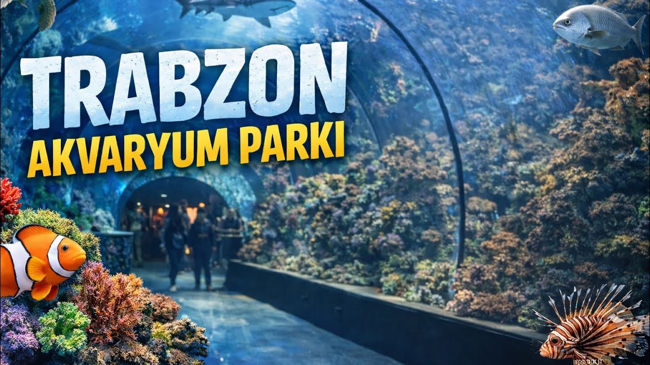 Trabzon Akvaryum Park 2026 | Trabzon’da gezilecek yerler | Trabzon Aquarium