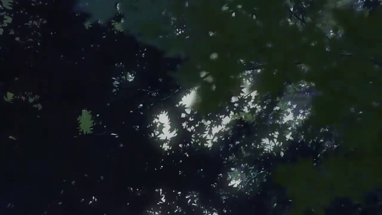 The Garden of words - Rain [AMV]