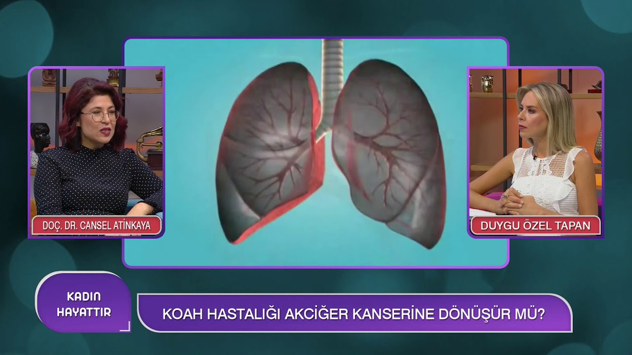 Sigara Akciğerlere Nasıl Zarar Veriyor? | Doç. Dr. Cansel Atinkaya Baydemir