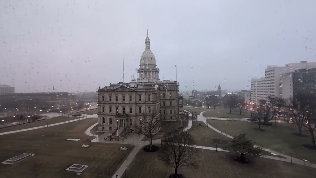 An overcast, foggy, and rainy February morning 