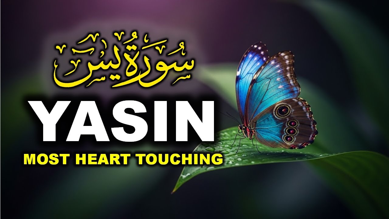 Most beautiful recitation of Surah Yaseen (Yasin) سورة يس
