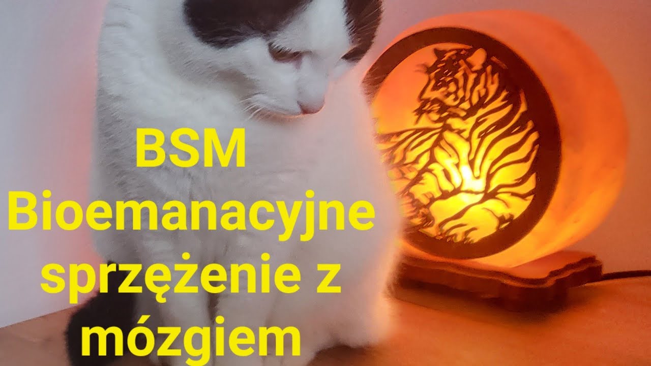 BSM 💛 wstęp - bioemanacyjne sprzężenie z m&oacute;zgiem     odc. 394    Playlista Metoda B.S.M.. pod filmem