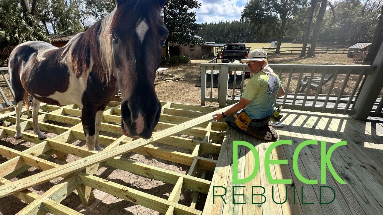Farm Life in Florida: Fake Spring, Rebuilding a Rotten Deck & Laminitis Recovery Update